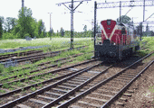 fot. Ptaku